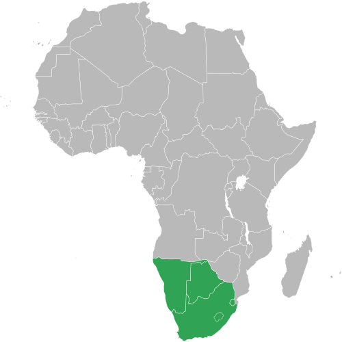 Southern African Customs Union
